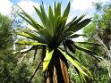 2011-02-19 Runanga 080